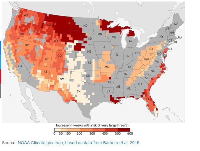 Risk of megafires